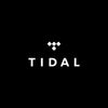 Tidal HiFi Plus Private Account